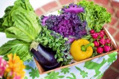 Einfache Tipps um Gesund zu leben