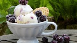Produkte ohne Aspartam verwenden – darum lässt es sich so besser abnehmen