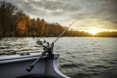 fishing-boat-gd8d231ff6_640