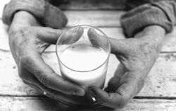 Der Wirkstoff Viscum album – was steckt dahinter? drink, milk, healthy, glass, calcium, monochrome, refreshment, milk, milk, milk, milk, milk